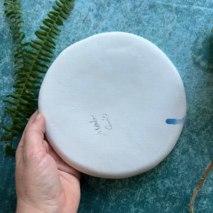 Porcelain lunch plate